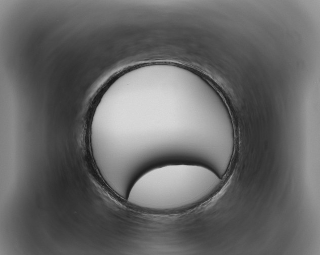 X0000088361502200705220722