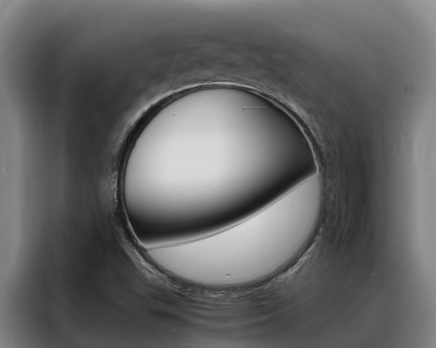 X0000088361503200705220722