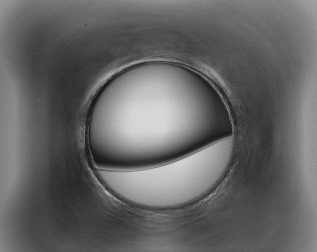 X0000088361504200705220722