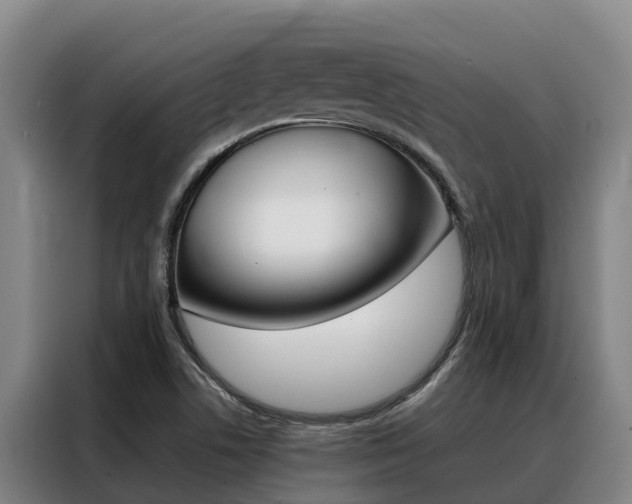 X0000088361506200705220722