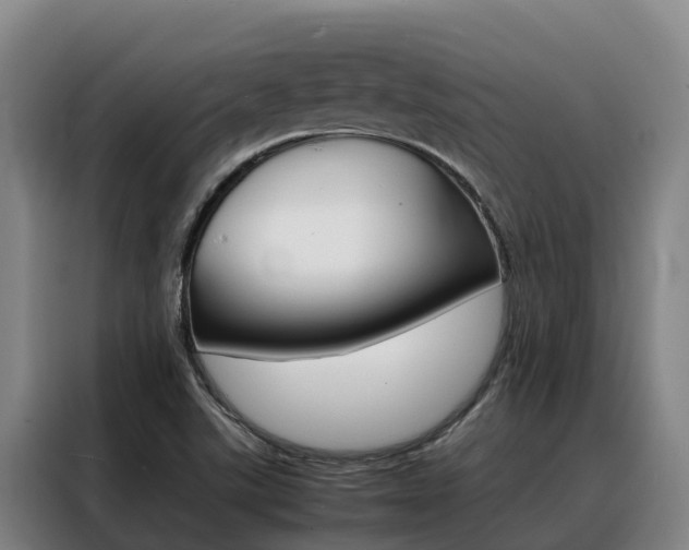 X0000088361507200705220722