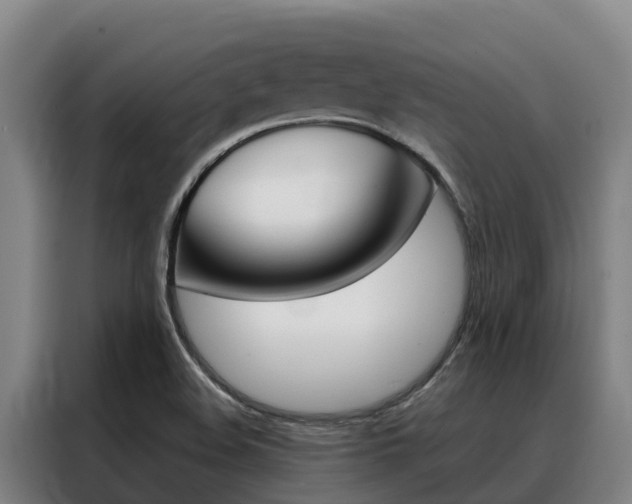 X0000088361508200705220722