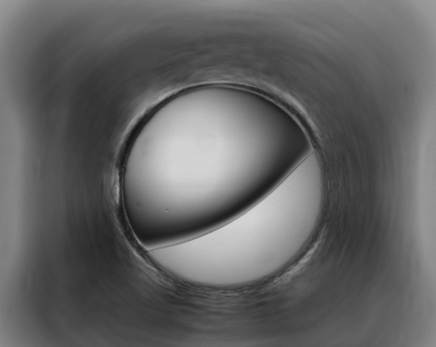 X0000088361509200705220722