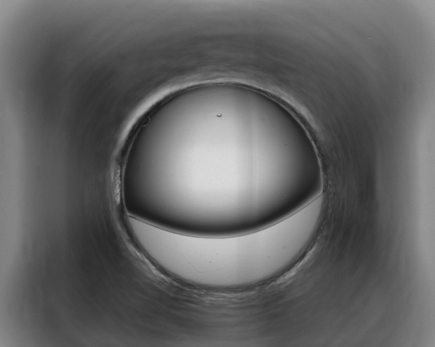 X0000088361510200705220722