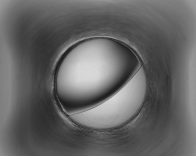 X0000088361511200705220722