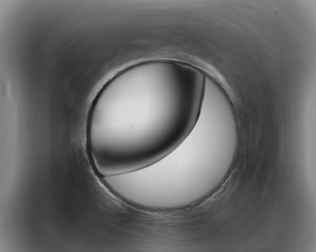 X0000088361512200705220722