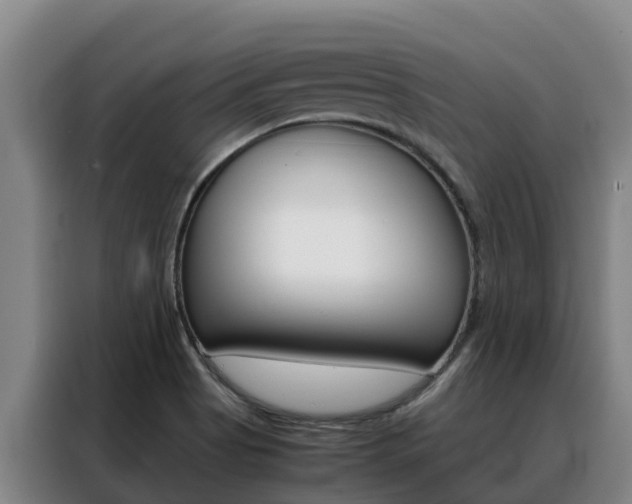 X0000088361513200705220722