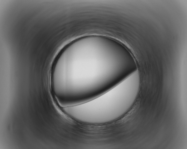 X0000088361515200705220722