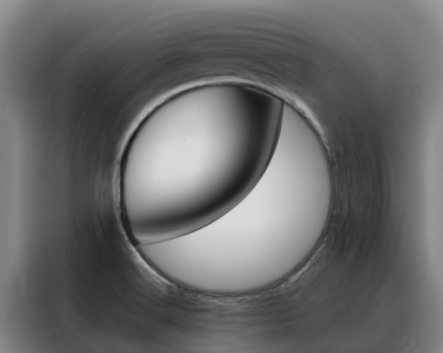 X0000088361516200705220722