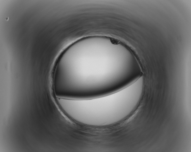 X0000088361517200705220722
