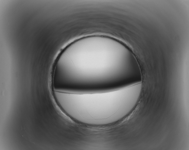 X0000088361518200705220722