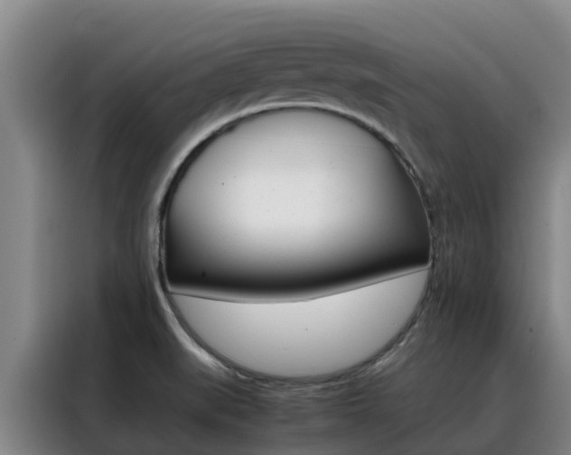 X0000088361519200705220722