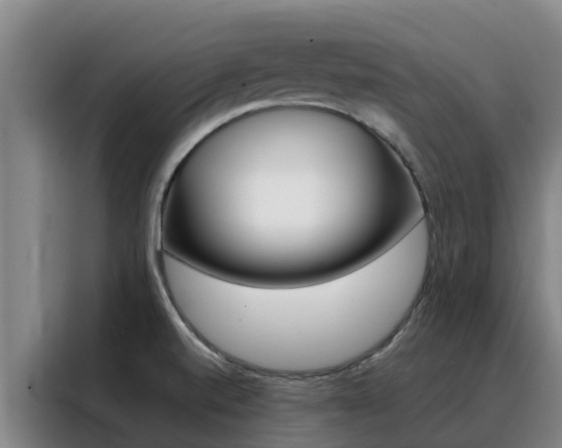 X0000088361520200705220722