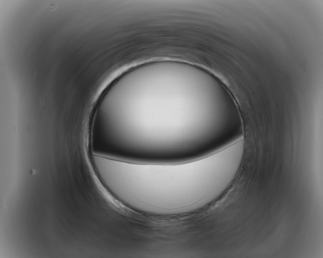 X0000088361523200705220723
