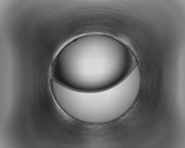 X0000088361524200705220723