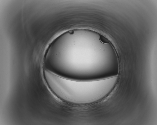 X0000088361525200705220723
