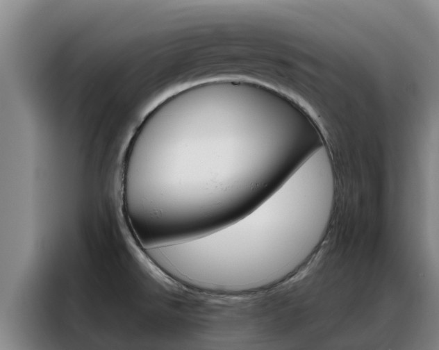 X0000088361526200705220723