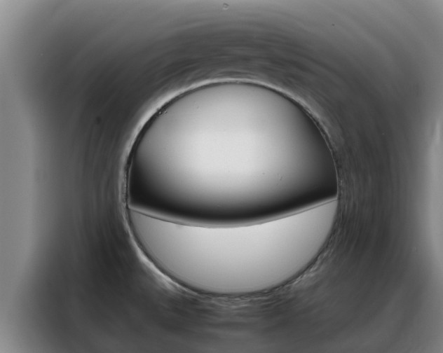 X0000088361527200705220723