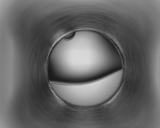 X0000088361529200705220723