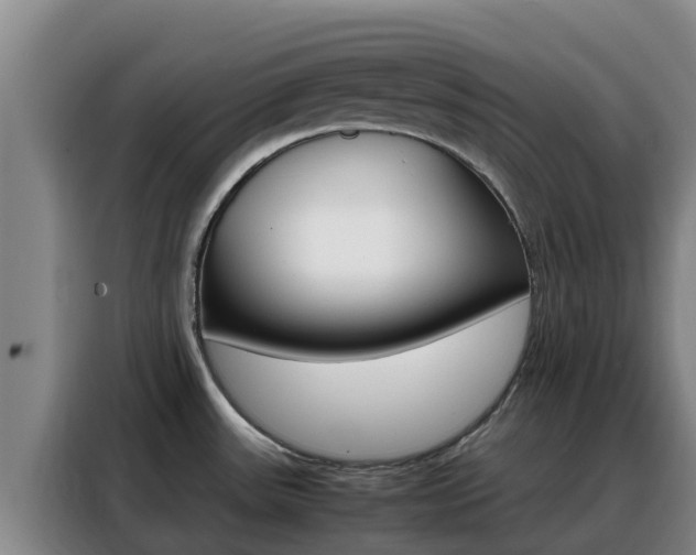 X0000088361531200705220723