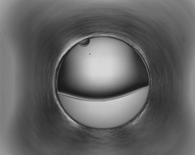 X0000088361533200705220723