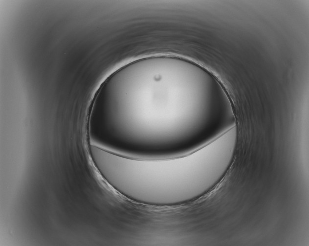 X0000088361534200705220723