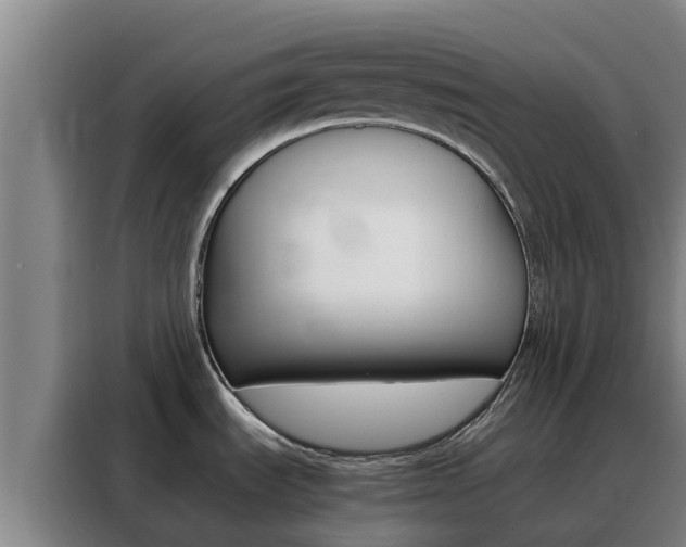X0000088361535200705220723