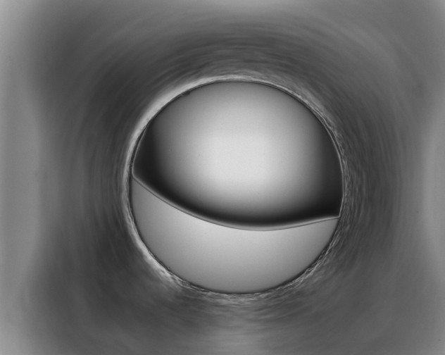 X0000088361536200705220723