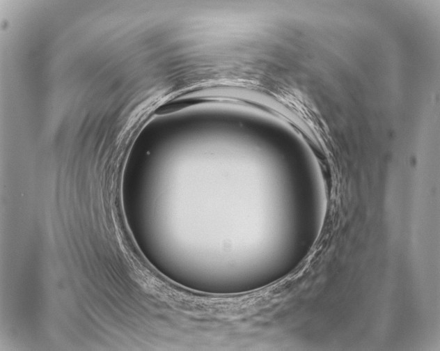 X0000088360001200705221043