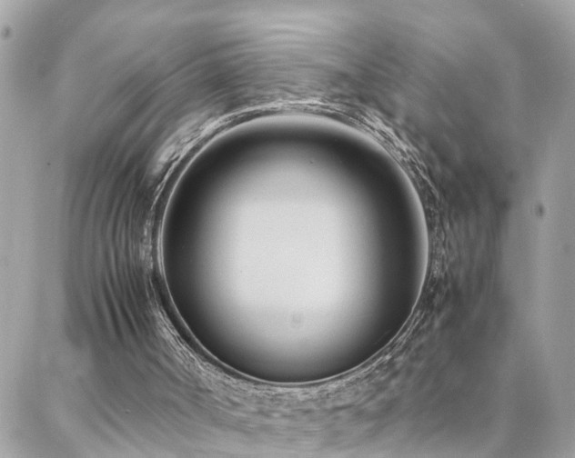 X0000088360002200705221043