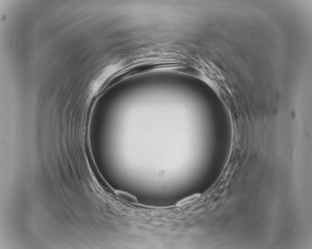 X0000088360003200705221043