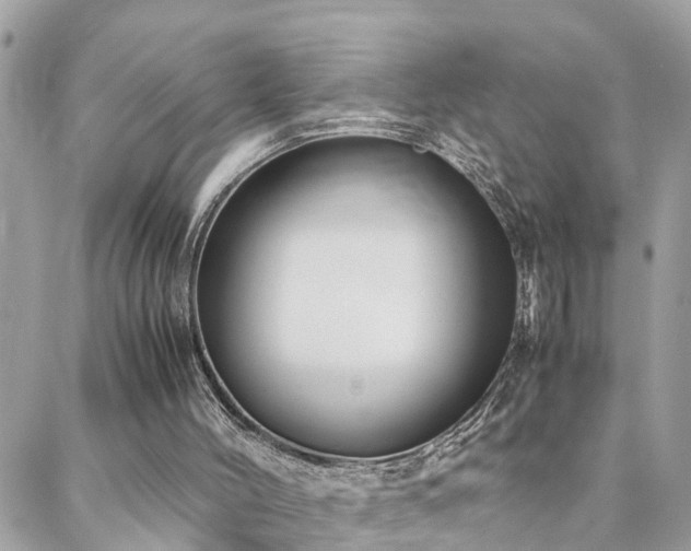 X0000088360004200705221043