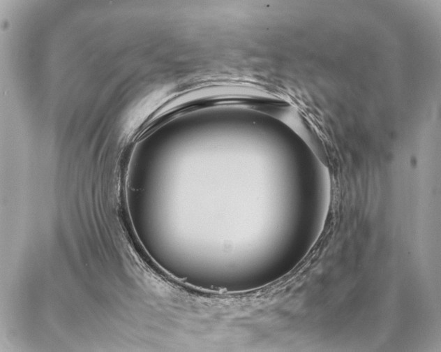 X0000088360005200705221043