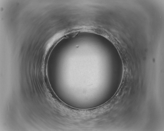 X0000088360006200705221043