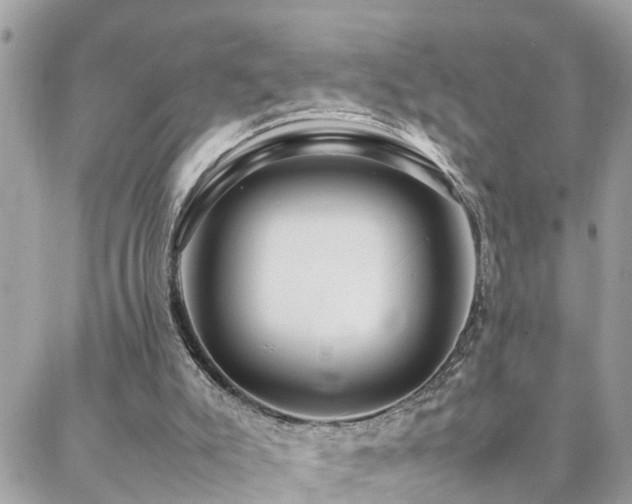 X0000088360007200705221042