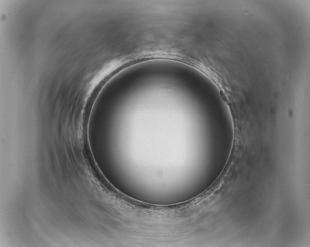 X0000088360008200705221042