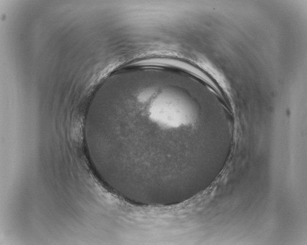 X0000088360009200705221042