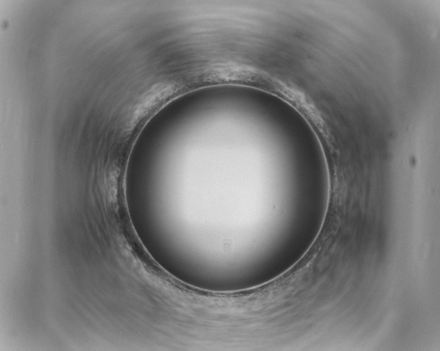 X0000088360010200705221042