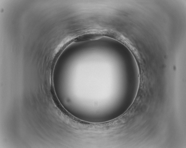 X0000088360011200705221042