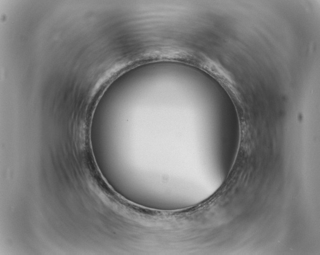 X0000088360012200705221042