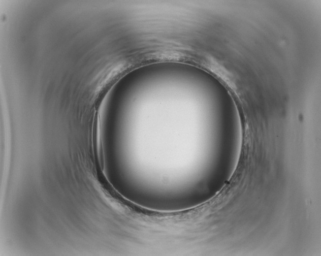 X0000088360013200705221042