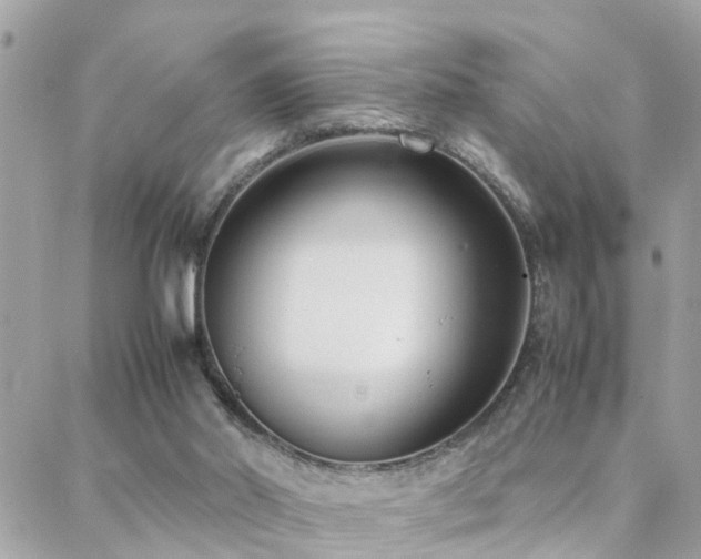 X0000088360014200705221042