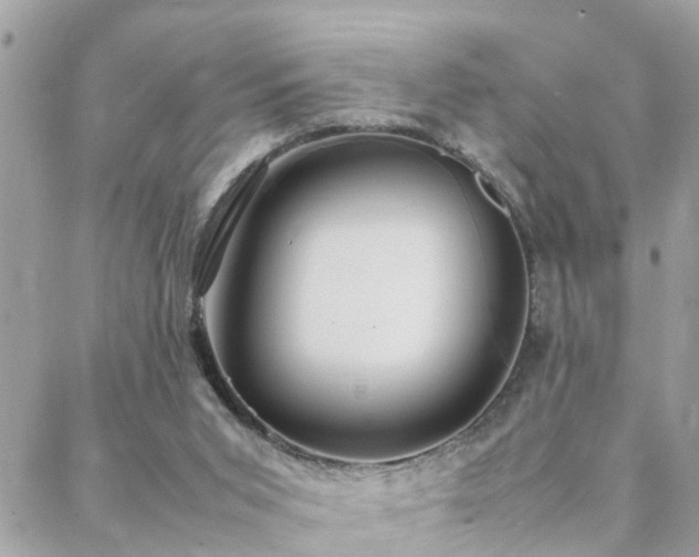 X0000088360015200705221042