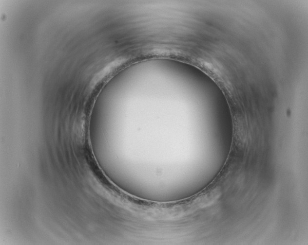 X0000088360016200705221042