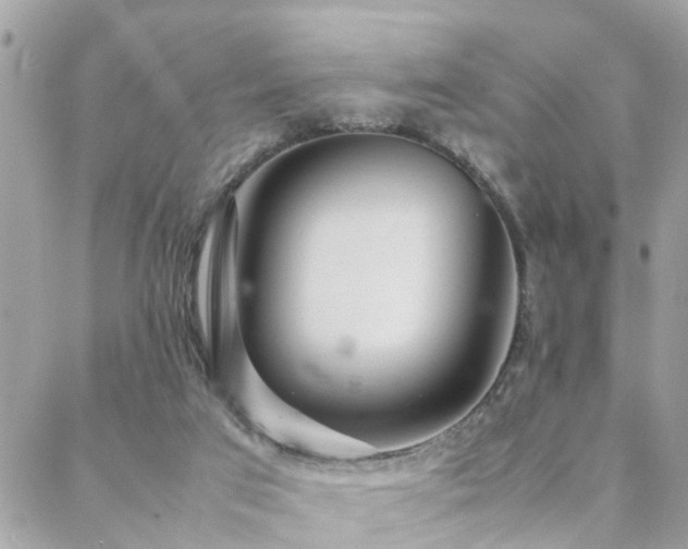 X0000088360017200705221042