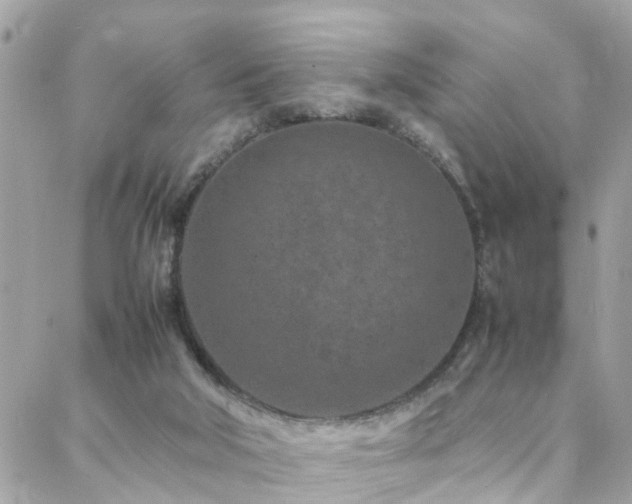 X0000088360018200705221042