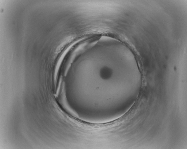 X0000088360019200705221042