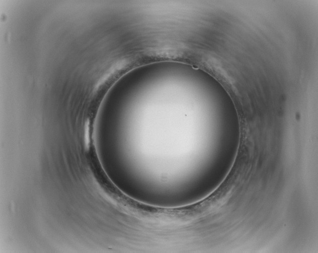 X0000088360020200705221042