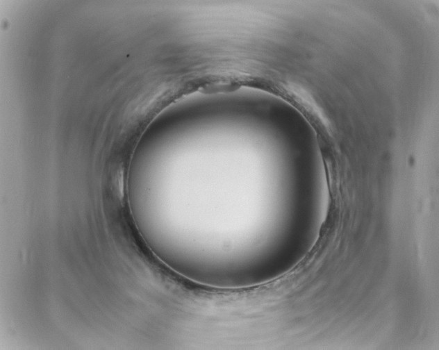 X0000088360021200705221042