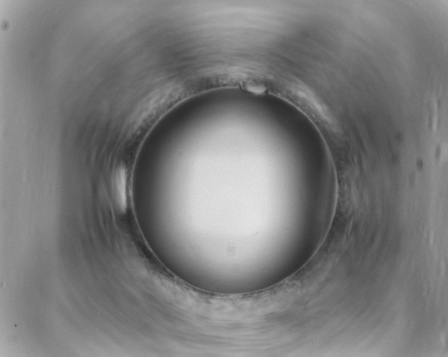 X0000088360022200705221042